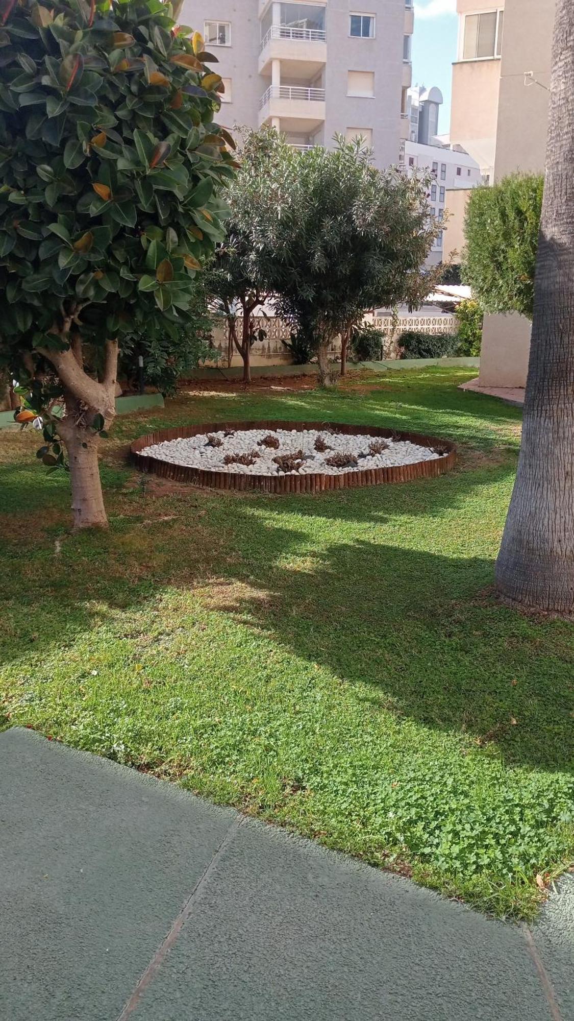 Rosa De Los Vientos كاليبي المظهر الخارجي الصورة